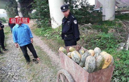 涞水吃瓜事件真相视频全集,揭秘真相背后的惊人内幕
