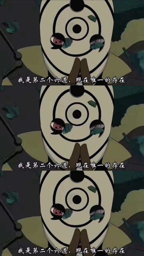 大马猴吃瓜的视频大全,趣味横生的欢乐时光回顾