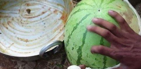 网红吃瓜全部视频大全,盘点全网热门视频大盘点
