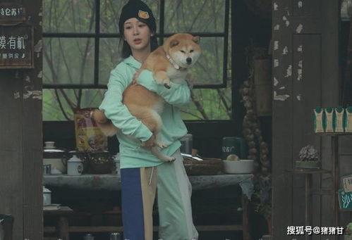 张艺兴黄磊吃瓜视频大全,揭秘娱乐圈幕后趣事