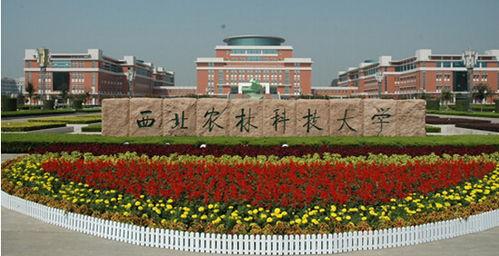 浙江农业大学吃瓜视频,校园生活趣味瞬间大揭秘