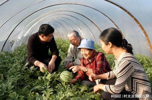 青海回民阿爸吃瓜视频,传统与现代的完美融合