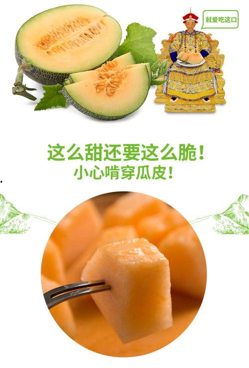 喝酒吃蜜瓜视频,夏日消暑新风尚
