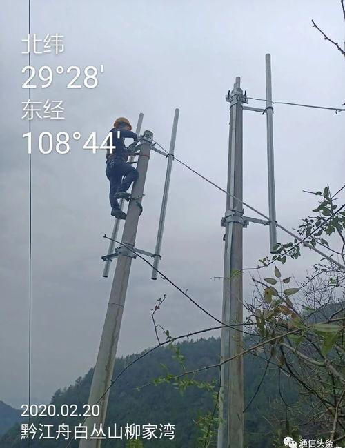 福建铁塔调度吃瓜视频,揭秘幕后趣闻