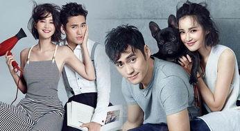 明星夫妇吃瓜视频大全播放,吃瓜视频大全播放量飙升