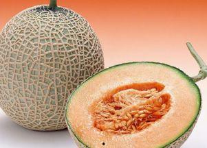 青年吃哈密瓜好吗视频,青年吃哈密瓜的益处与选择指南