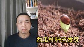 情侣吵架男人吃瓜视频,这是要笑死人的节奏！