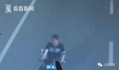 张起灵吃瓜现场视频大全,趣味瞬间大盘点