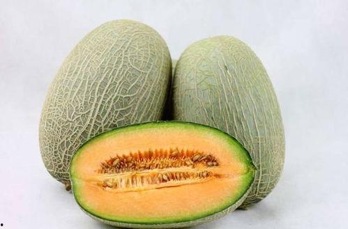 傻瓜吃哈密瓜视频下载,趣味视频下载攻略