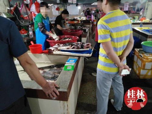 搞钱直播在线吃瓜视频,揭秘搞钱背后的真实故事