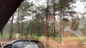 小盆友吃瓜视频在线观看,萌娃趣味瞬间，在线观看乐翻天