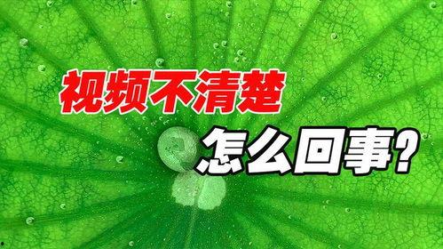 抖音吃瓜热门视频素材,揭秘娱乐圈幕后真相