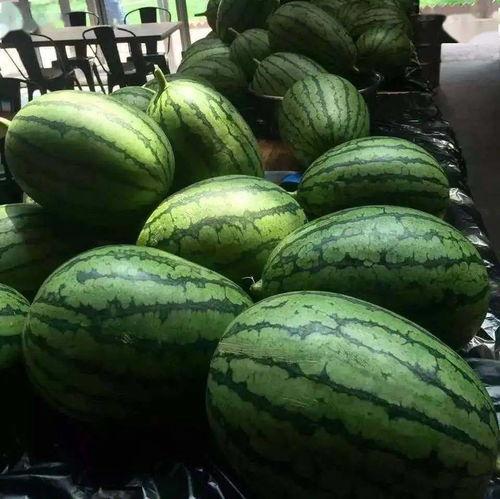 周五所有吃瓜原视频,盘点本周热门吃瓜视频