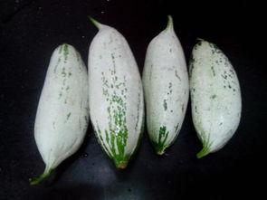 诸暨吃瓜视频最新消息曝光,最新爆料揭秘惊人内幕