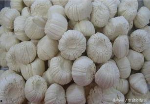 糖瓜吃瓜视频网址,揭秘网络红人背后的故事