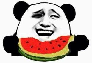 吃瓜群众骂街视频播放大全,吃瓜群众骂街视频大盘点