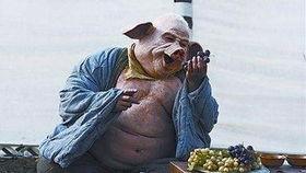 吃瓜老汉看猪八戒视频,吃瓜老汉视角下的奇幻解读