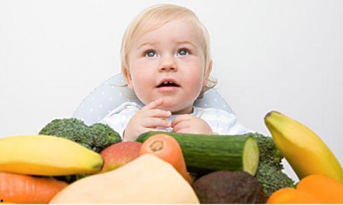 宝宝吃蒲瓜视频大全集下载,视频大全集下载攻略