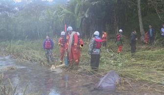 奉节吃瓜事件始末视频,一场网络热议背后的真相揭秘