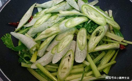 小孩吃蛇瓜视频在线观看,在线观看萌态百出