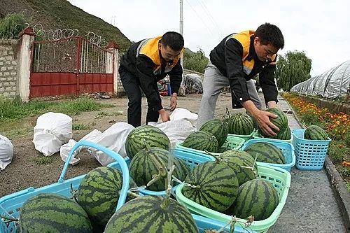 棉纺厂 吃瓜视频,揭秘吃瓜视频背后的秘密工厂