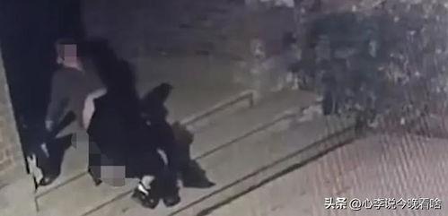 来武庄吃瓜视频全集,揭秘视频全集背后的精彩故事