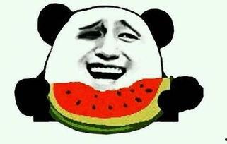 痞呦吃瓜视频,揭秘娱乐圈那些不为人知的幕后故事