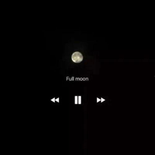 吃瓜黑色背景视频下载,下载背后的秘密与技巧