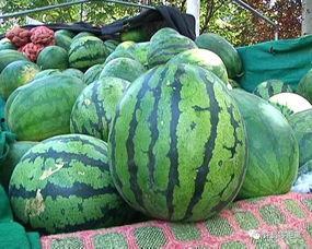 怎样才能看吃瓜视频