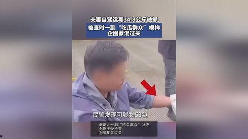 吃瓜群众被抓视频在哪看,吃瓜群众被抓视频观看指南