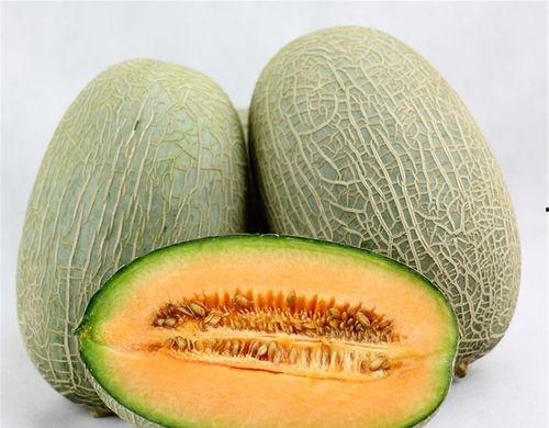 女生带货吃哈密瓜视频大全,视频大全带你领略美味诱惑