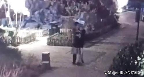 出殡吃瓜视频完整,一场引发社会热议的“直播奇观”