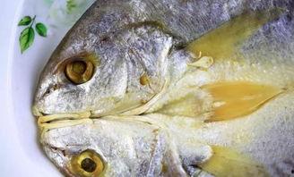 星野光头鱼哥吃瓜视频,揭秘娱乐圈幕后真相