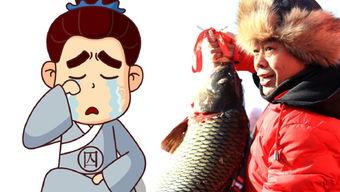 星野光头鱼哥吃瓜视频,揭秘娱乐圈幕后真相