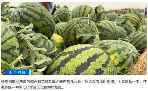 黄俊熙视频吃瓜