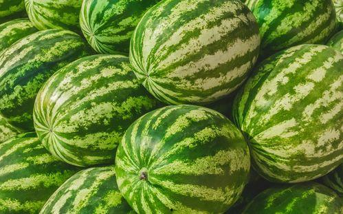 热门吃瓜视频在哪找到的,源头揭秘，带你走进幕后制作