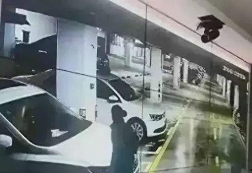 情侣车库吃瓜视频,吃瓜群众见证甜蜜爱情